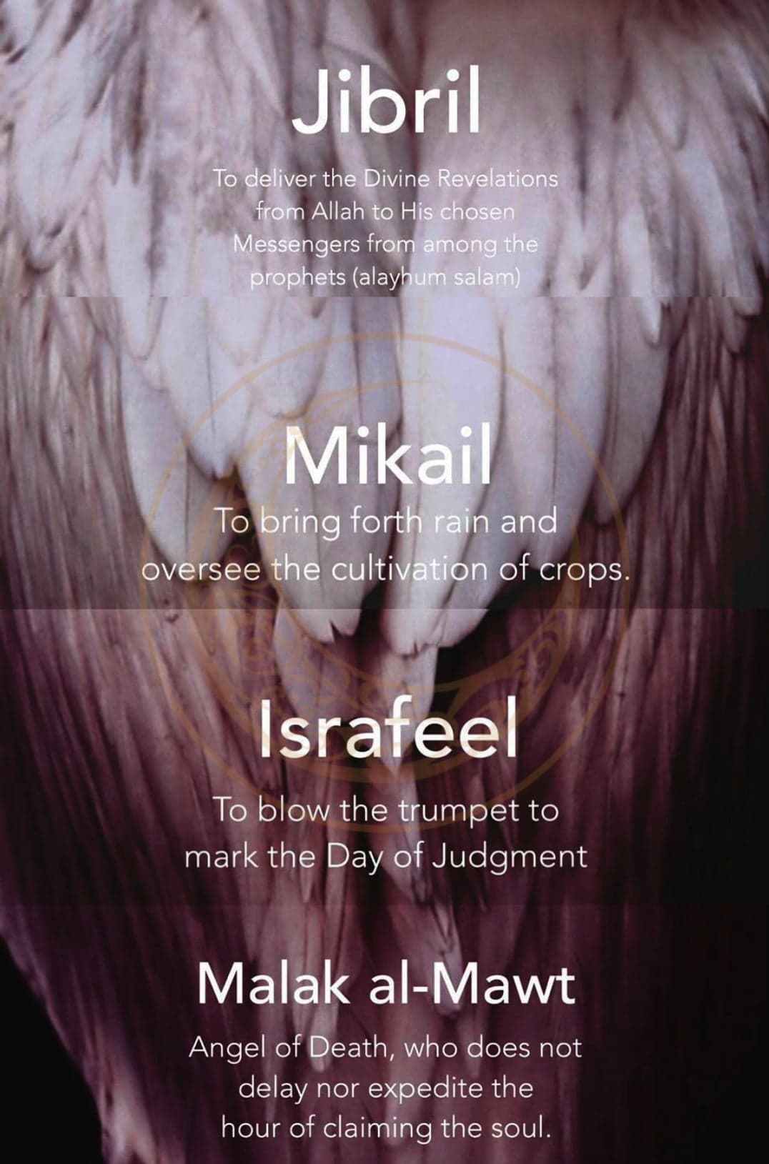 Simple Islam